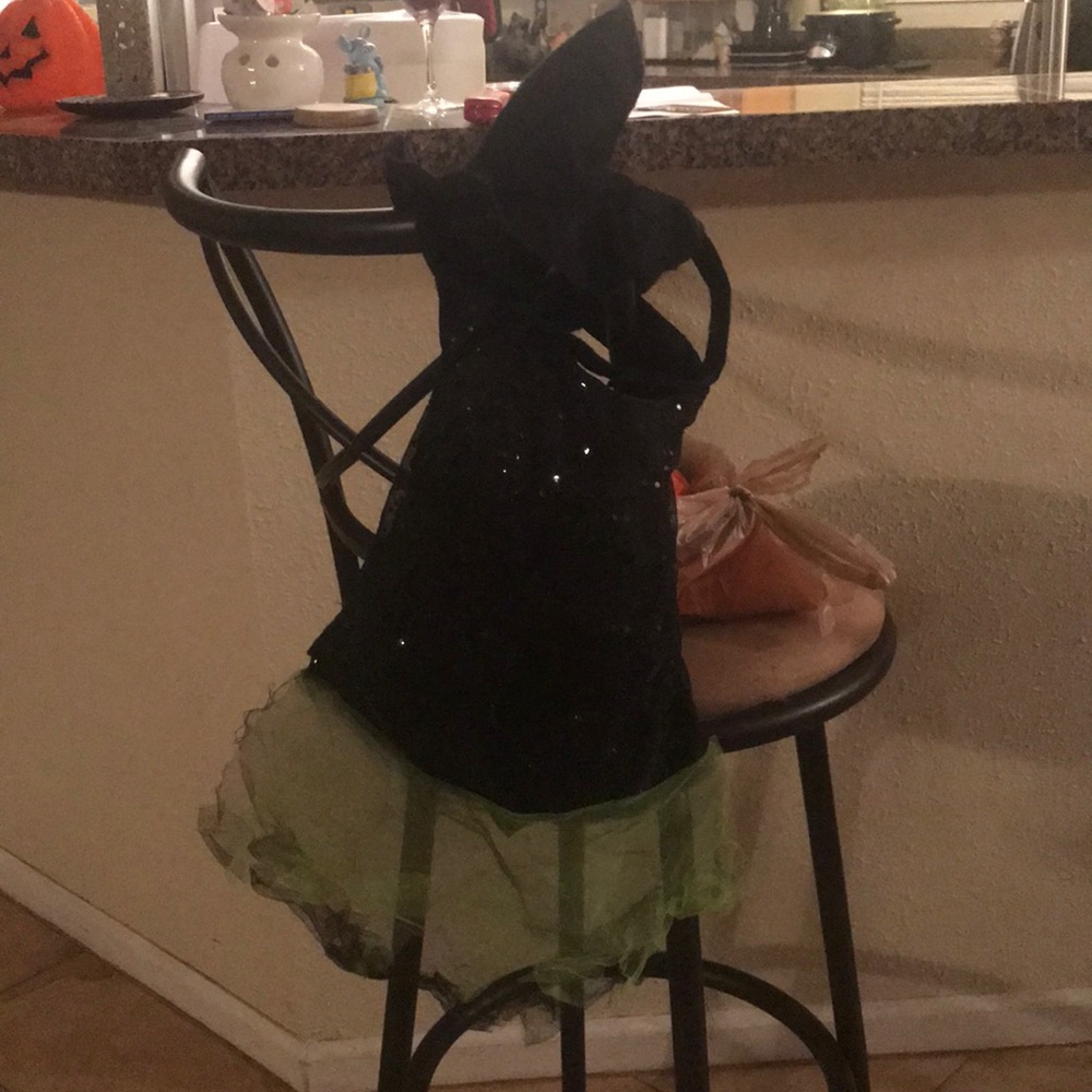 Dog costume
